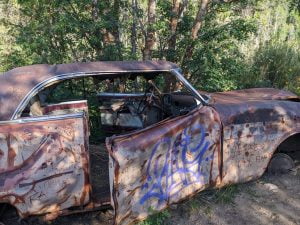 PXL_20220818_002316800 - Abandoned 40s-era cars along the Prospect Trail